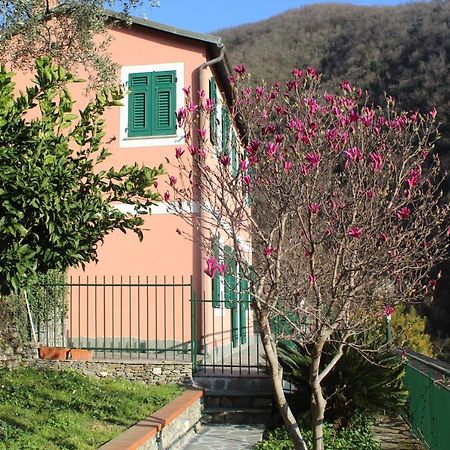 Casa Laura Villa Zoagli Exterior photo