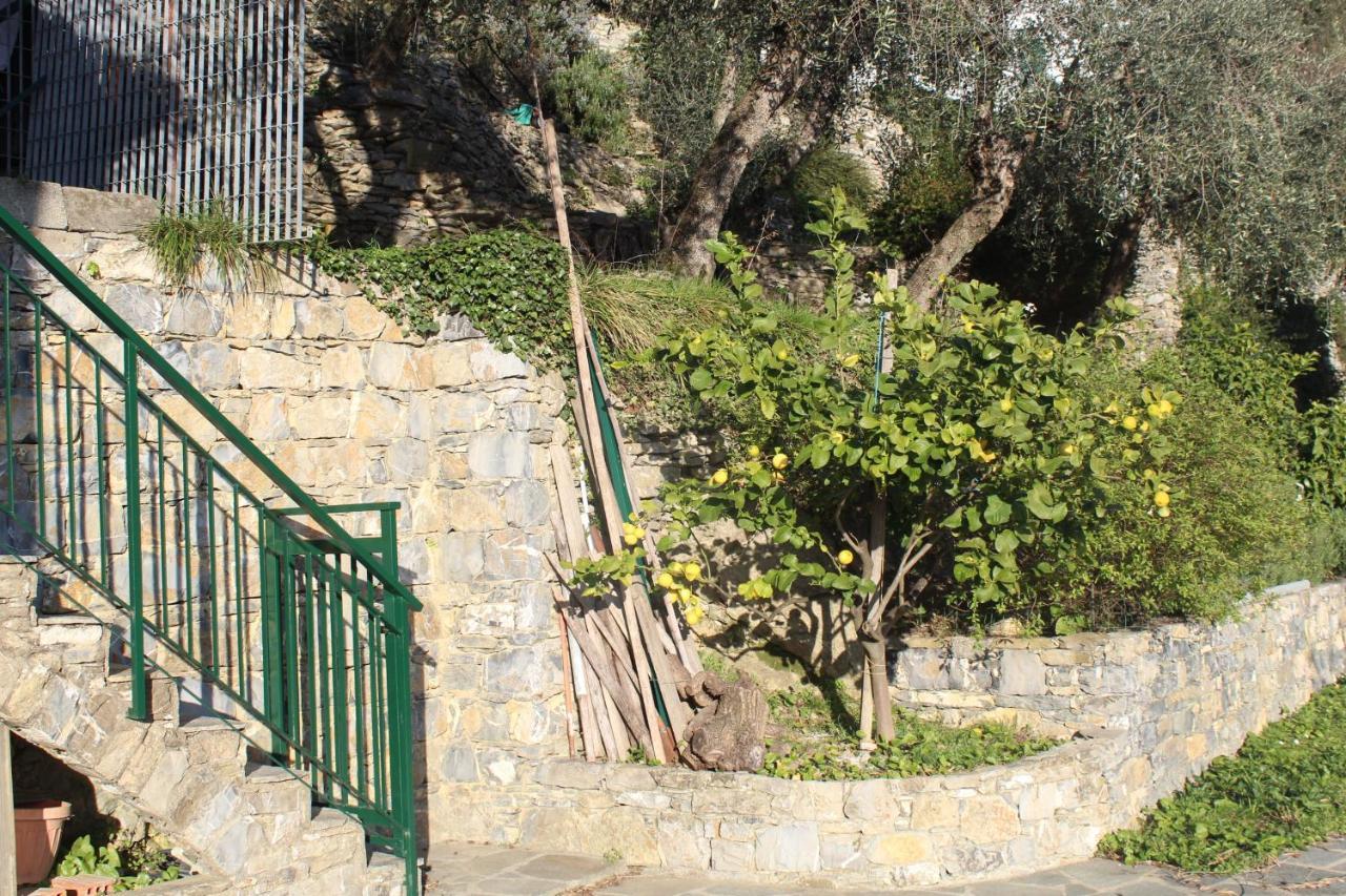 Casa Laura Villa Zoagli Exterior photo